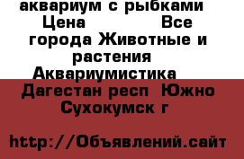 аквариум с рыбками › Цена ­ 15 000 - Все города Животные и растения » Аквариумистика   . Дагестан респ.,Южно-Сухокумск г.